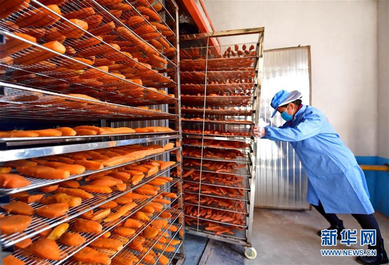 合作社是属于个体还是企业的争论从未停止。今天，让我们通过一个具体案例来解读这个问题。